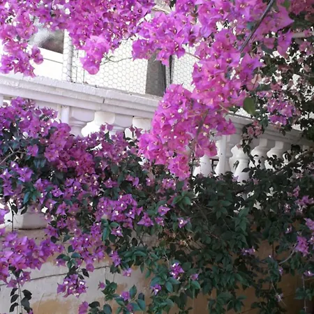 아파트호텔 Nychterida 4*