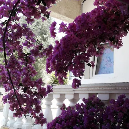 Nychterida 아파트호텔 4*